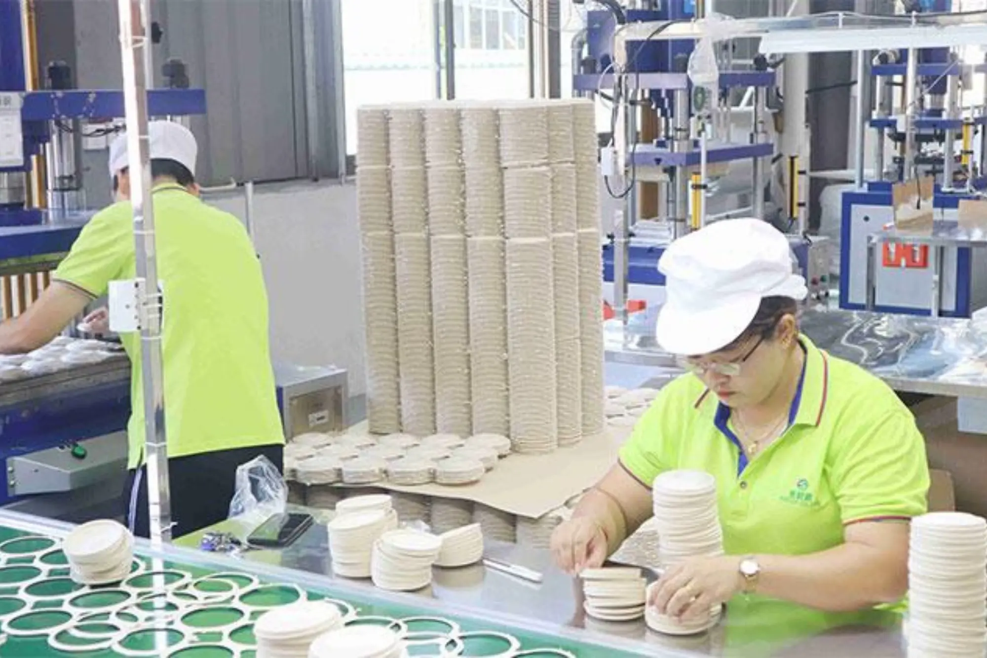 Food grade sugarcane tableware manufacturing process in factory production line with workers handling eco friendly packaging