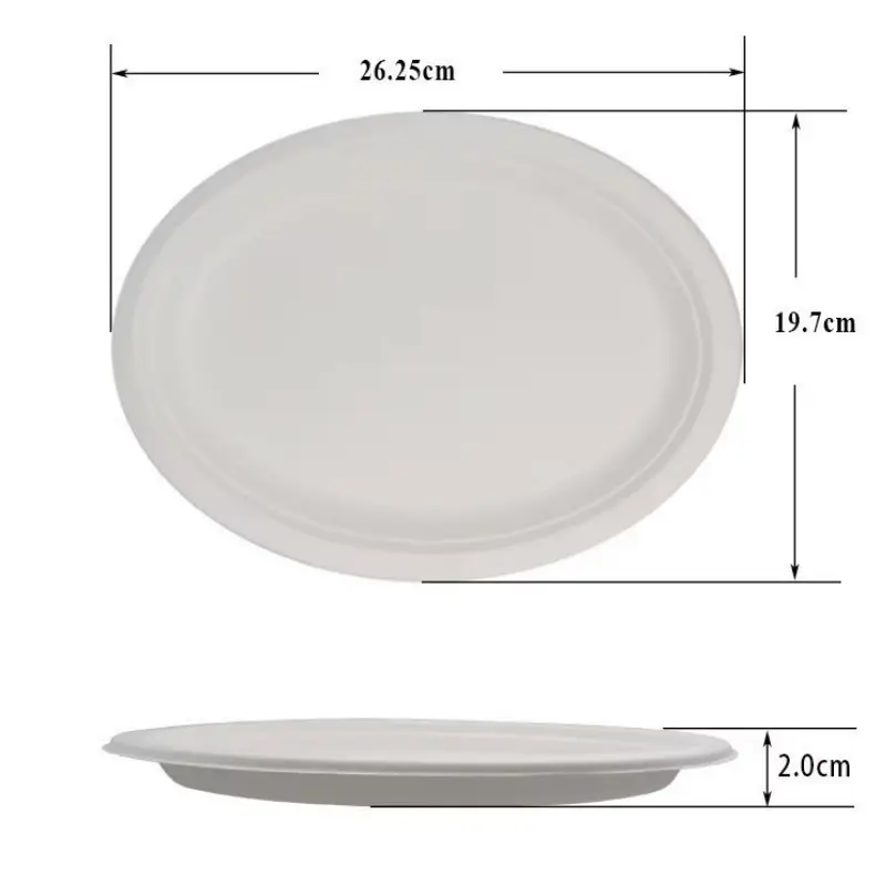 10 Inch Oval Sugarcane Bagasse Plate