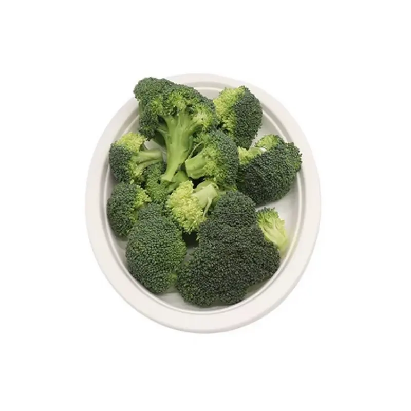 10 Inch Oval Sugarcane Bagasse Plate