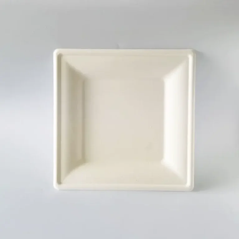 10 Inch Square Sugarcane Bagasse Plate main product view