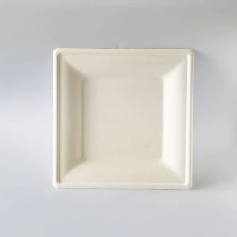 10 Inch Square Sugarcane Bagasse Plate main product view