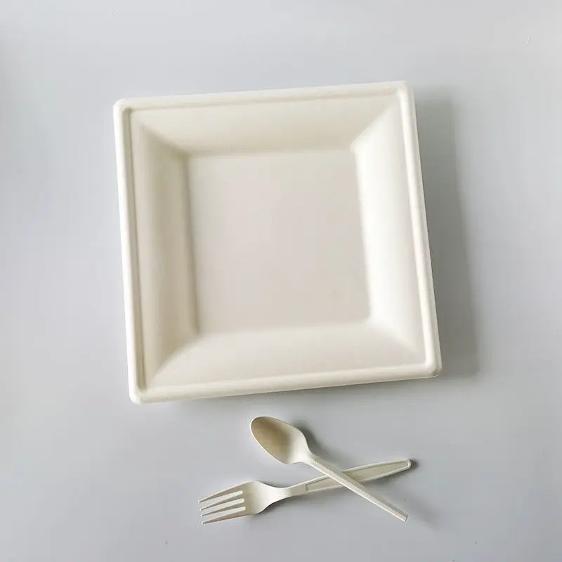 10 Inch Square Sugarcane Bagasse Plate