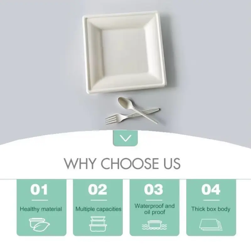 10 Inch Square Sugarcane Bagasse Plates