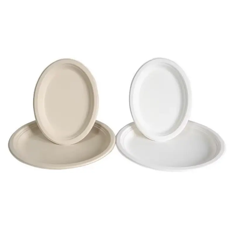 10 Inch Oval Sugarcane Bagasse Plate