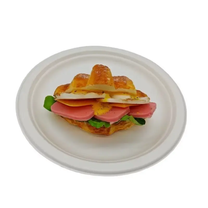 8.6 Inch Round Sugarcane Bagasse Plate application