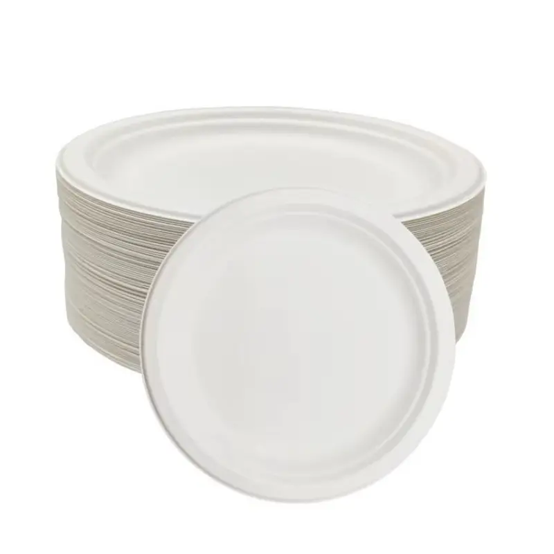 8.6 Inch Round Sugarcane Bagasse Plate view
