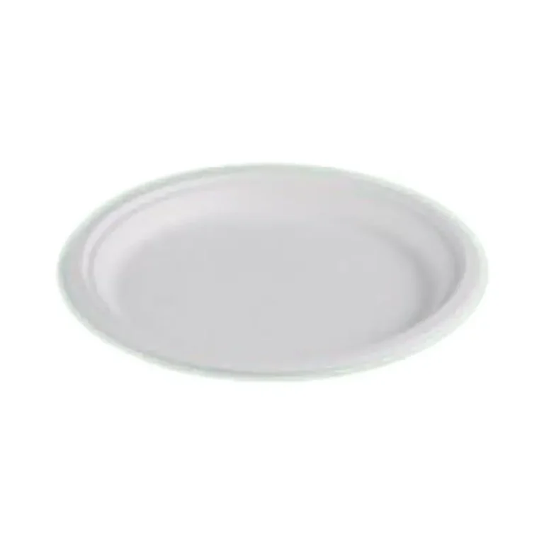 10 Inch Round Sugarcane Bagasse Plate