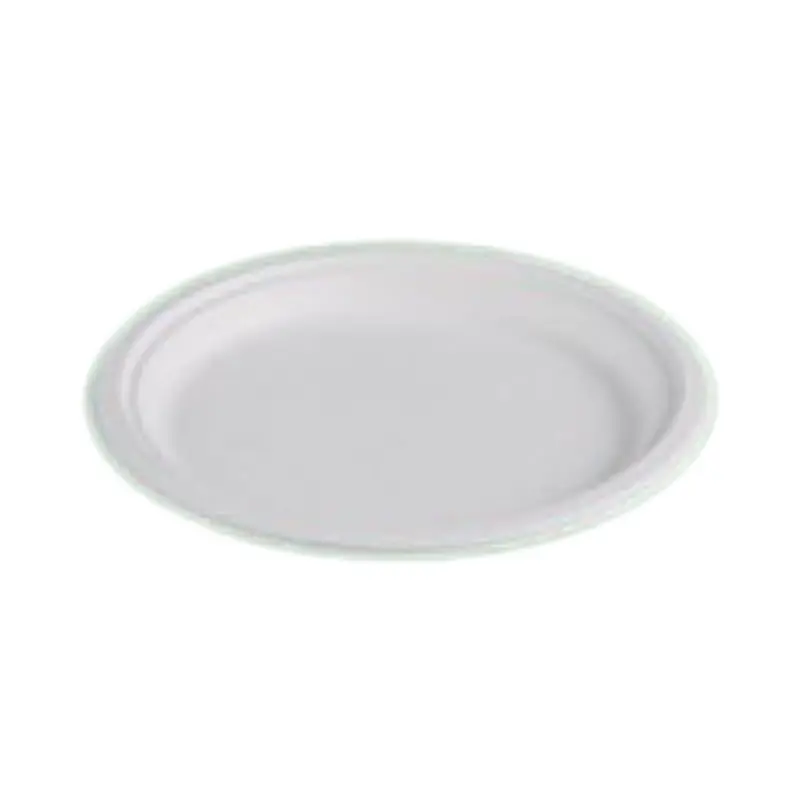 10 Inch Round Sugarcane Bagasse Plate