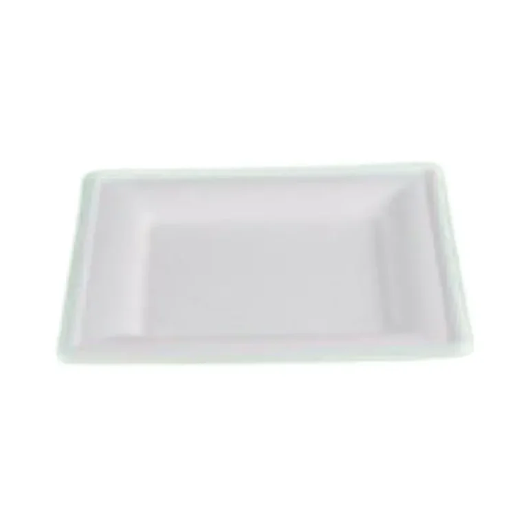 20cm Square Sugarcane Bagasse Plate