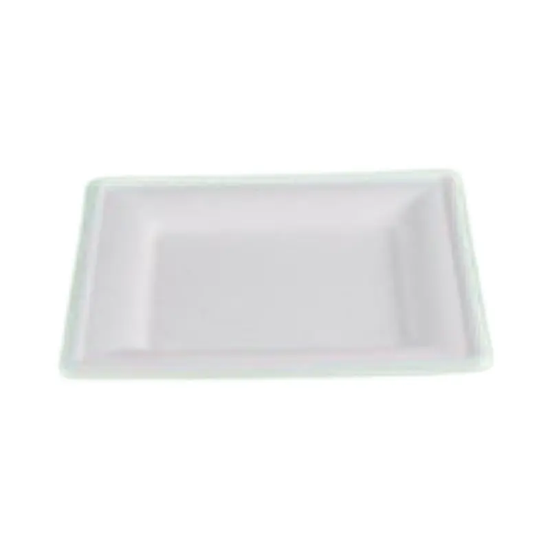 20cm Square Sugarcane Bagasse Plate