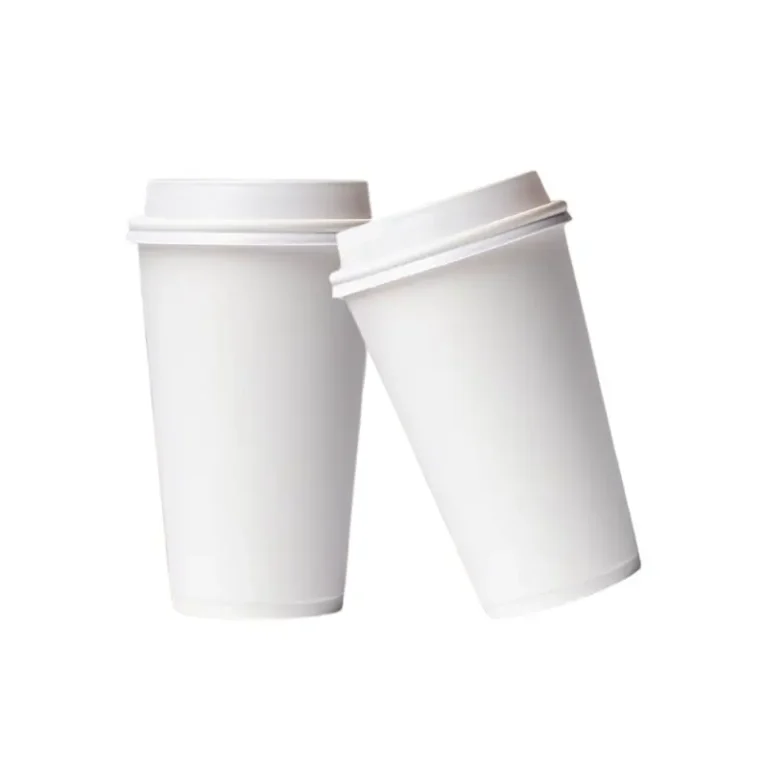 8 oz / 270 ml Double-Wall Paper Cup