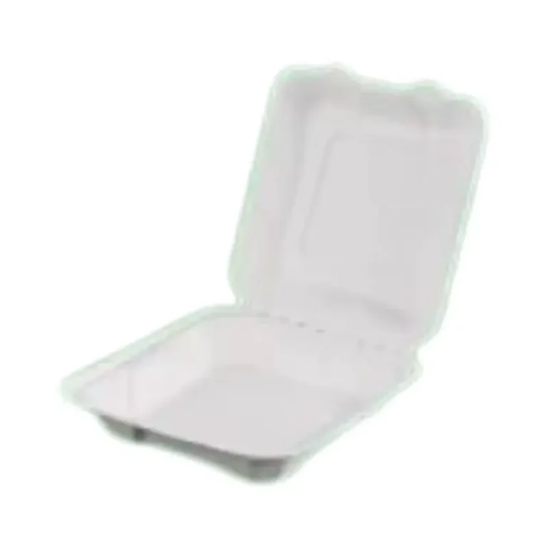 Shallow 8 Inch Sugarcane Bagasse Clamshell