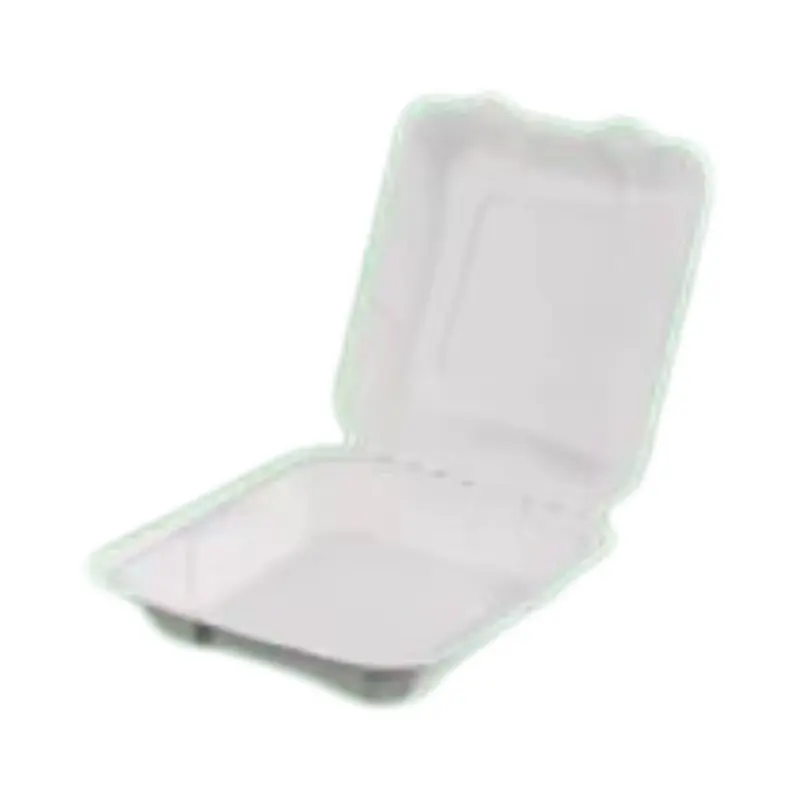 Shallow 8 Inch Sugarcane Bagasse Clamshell