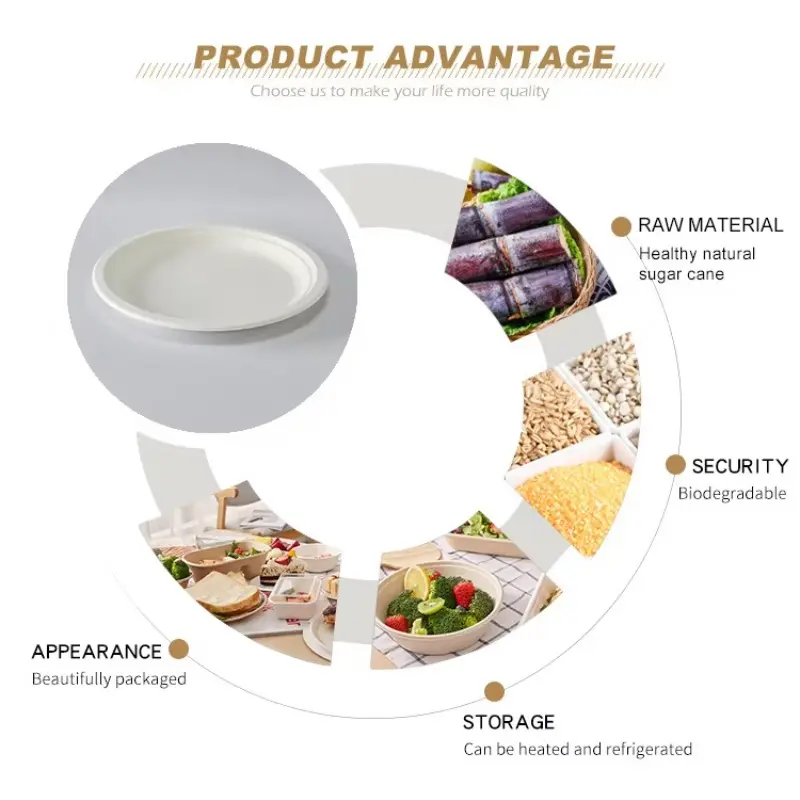 Sugarcane Bagasse Plate Advantage